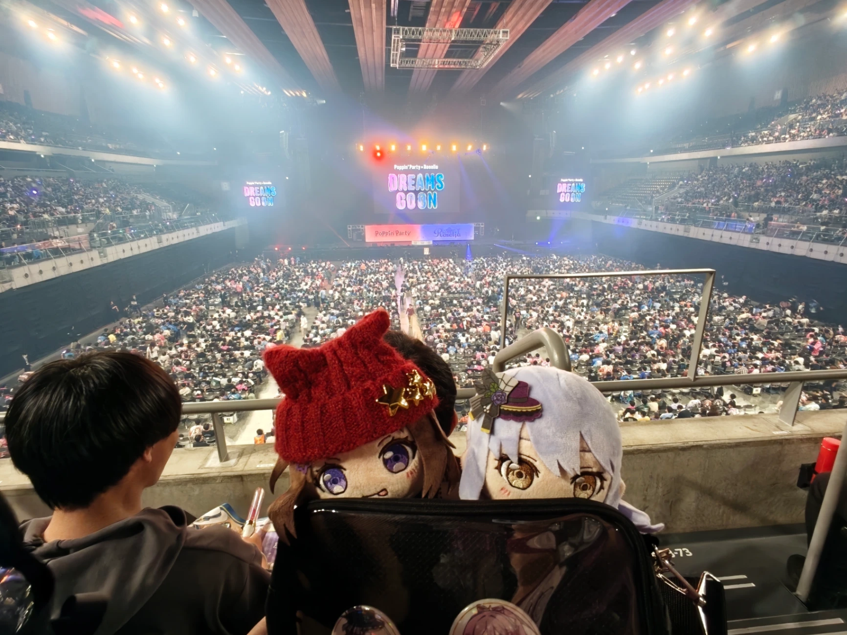 GATE14 G区 2列57番 2026年5月3日 Poppin' Party x Roselia 合同ライブ DREAMS GO ON 的视角