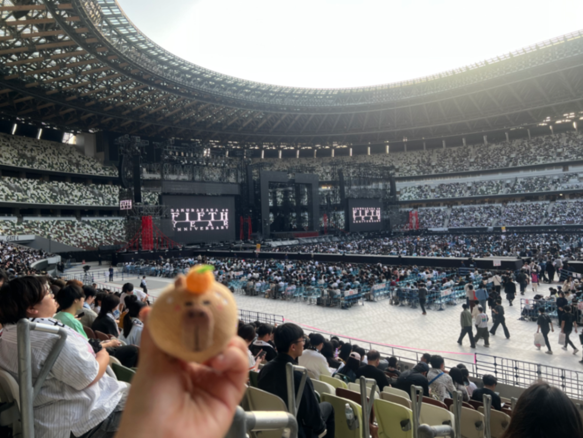 View from 132 13排 222号 Apr 11, 2026
