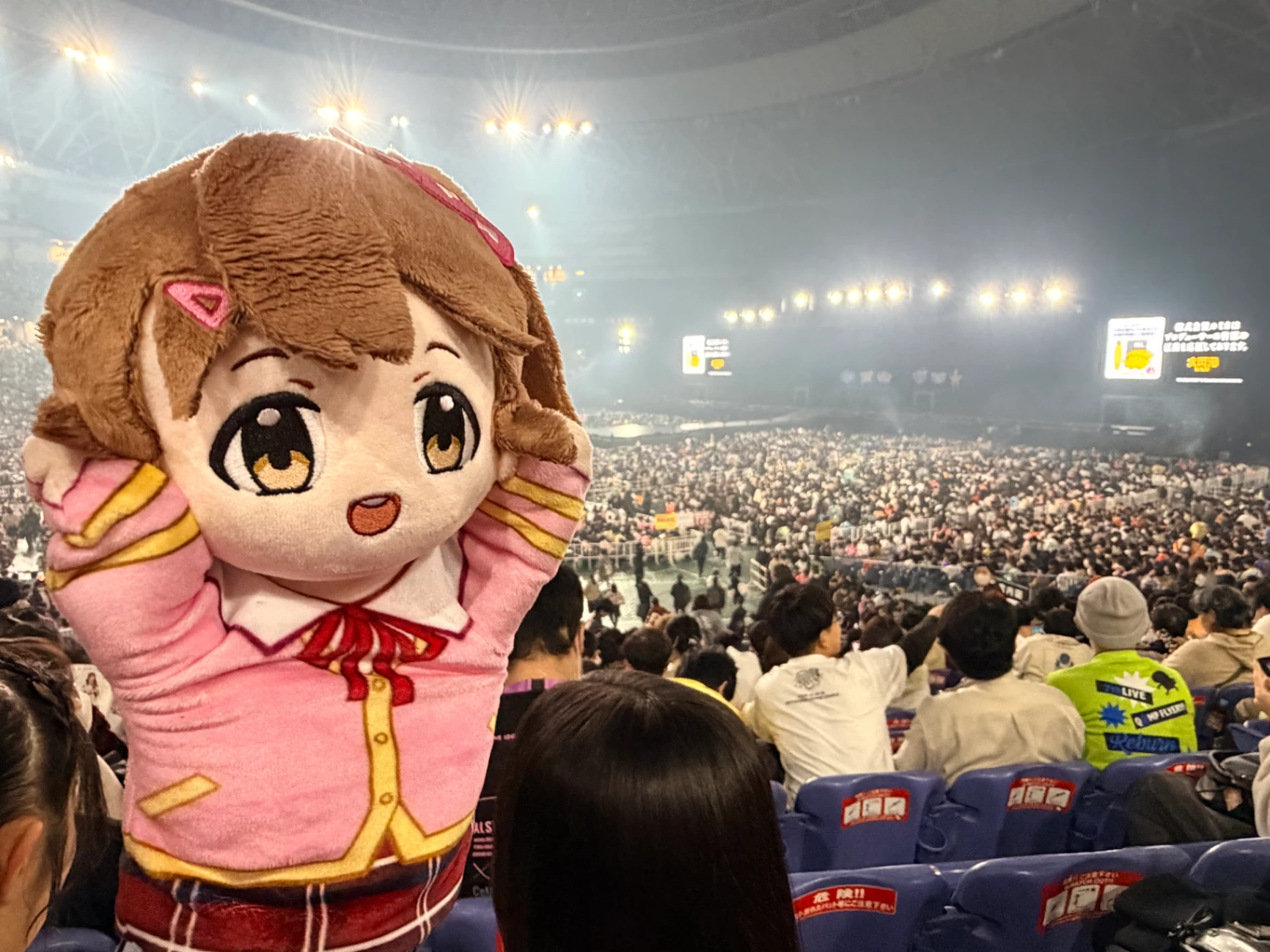 看台 1垒侧 下段 6通路 17列 248番 의 시점