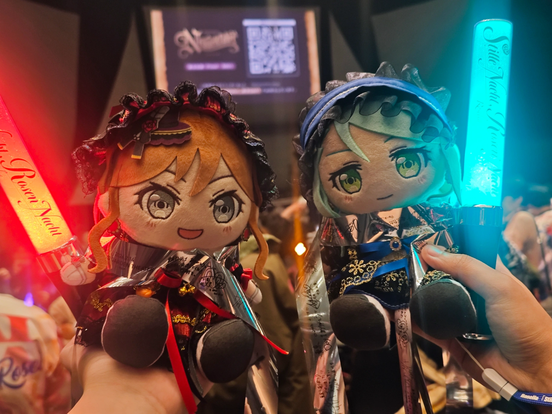 View from Bブロック 3列 3番 Feb 14, 2026 roselia亚巡东京day1